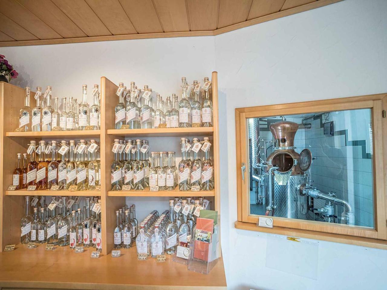 Gaestehaus Moenchshof ゾンマーハウゼン エクステリア 写真